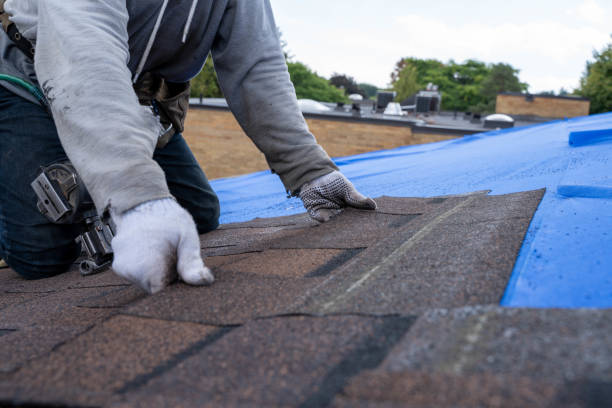 Fast & Reliable Emergency Roof Repairs in Winnebago, IL